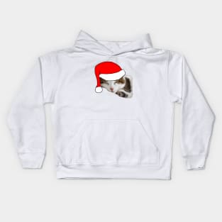 Christmas Cat in a Santa Hat Kids Hoodie